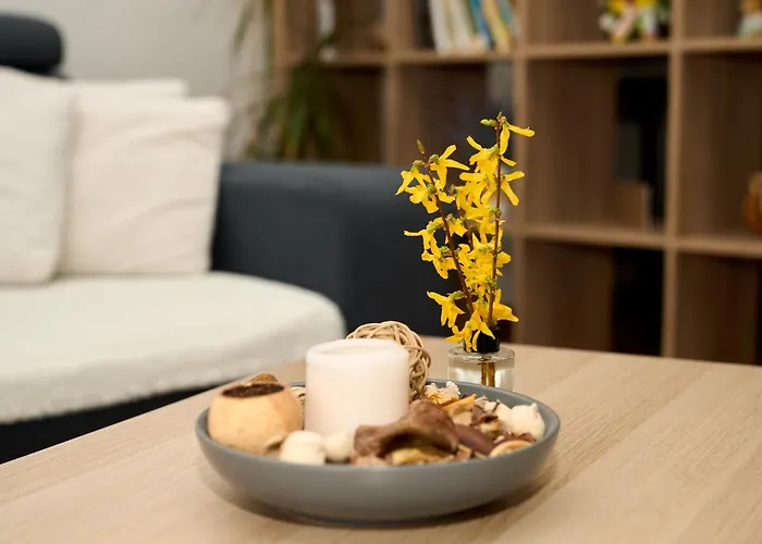 A&m 반스카비스트리카